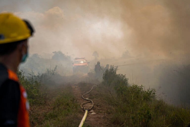 Incendio minaccia centri di riabilitazione degli oranghi, stagione dei fuochi si intensifica