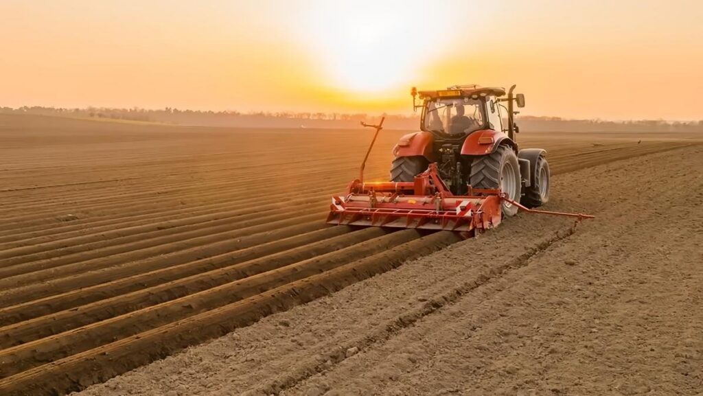 Siccità record, agricoltura in emergenza: raccolti in calo fino al 70%