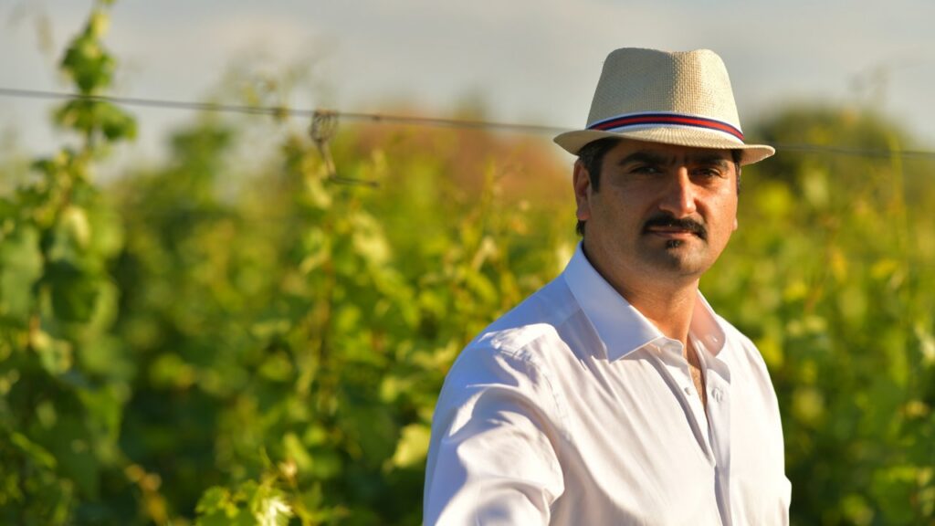 Puglia, boom di produzione ma vendite ferme: la sfida del vino del futuro