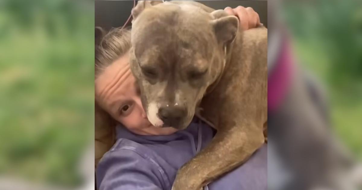 Pickles, la cucciola abbandonata, trova la sua famiglia e un nuovo senso di appartenenza