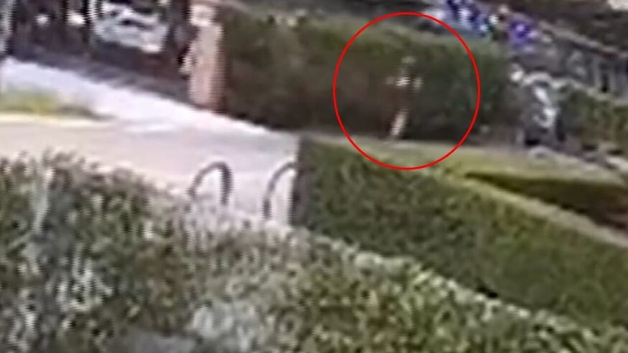 Sfregiata con l’acido a Scorzè: arrestato un 22enne macedone su commissione
