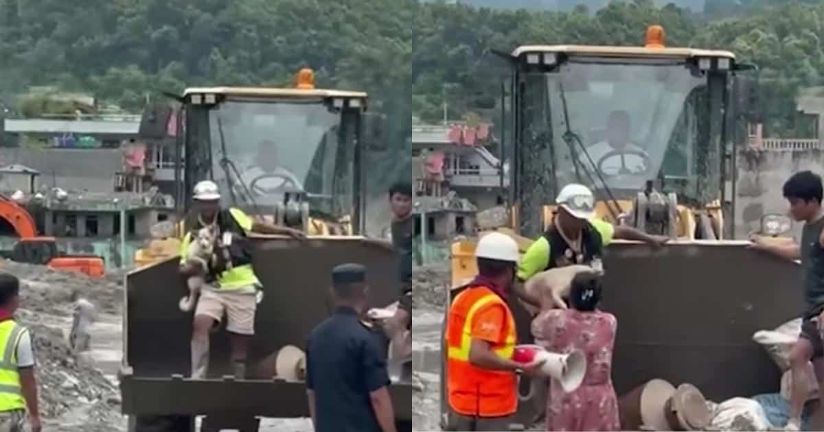 Sweetie, il cane sordo, torna a casa dopo l’alluvione devastante in Nepal