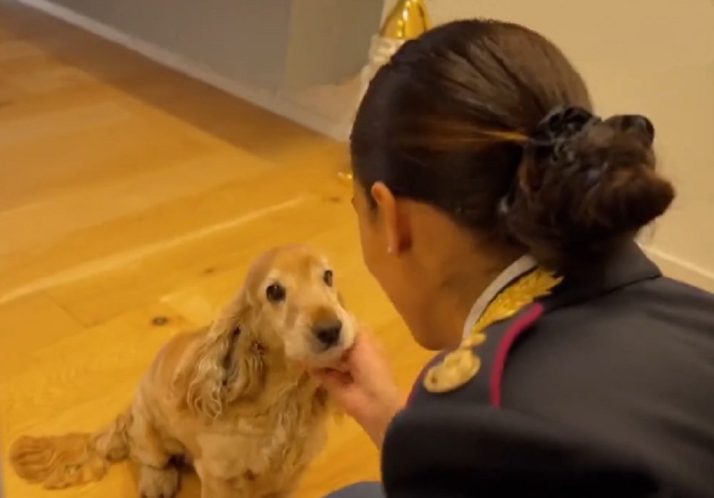 L’abbandono degli animali: la storia di Joy e della poliziotta sensibilizza i cittadini