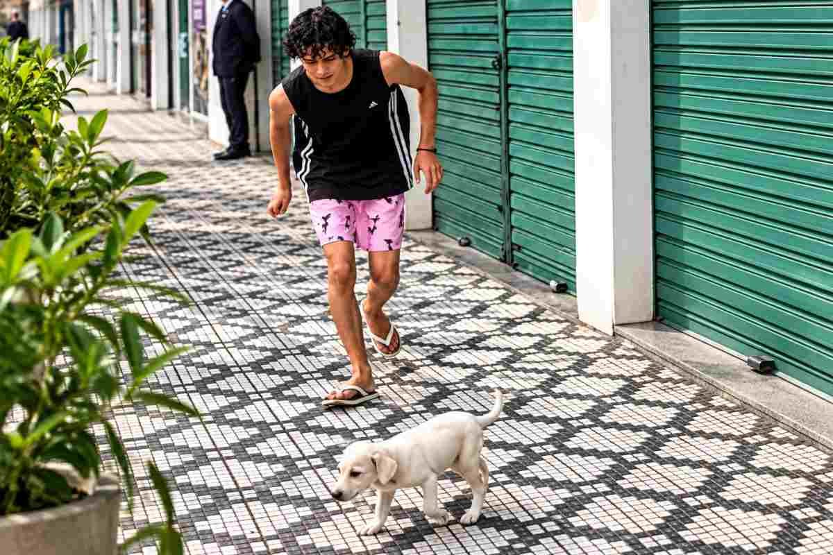 Luis Felipe rimane 14 ore con un cucciolo abbandonato finché non trova una famiglia