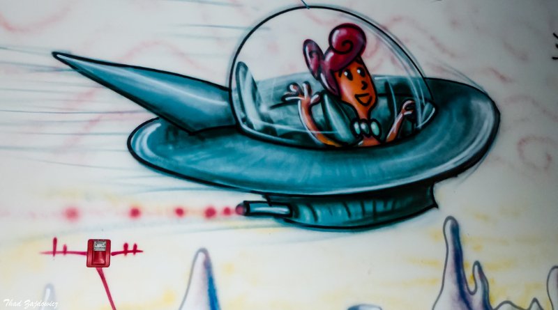 Florida e Tesla si confrontano tra elettrico e aereo: chi sceglie il futuro?