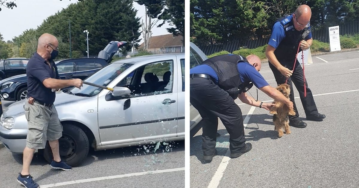 Un uomo salva un cane in pericolo rompendo il finestrino con un coltello