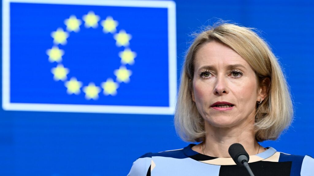 Prezzo cereali in aumento: guerra, siccità e El Niño spingono i rincari in Italia