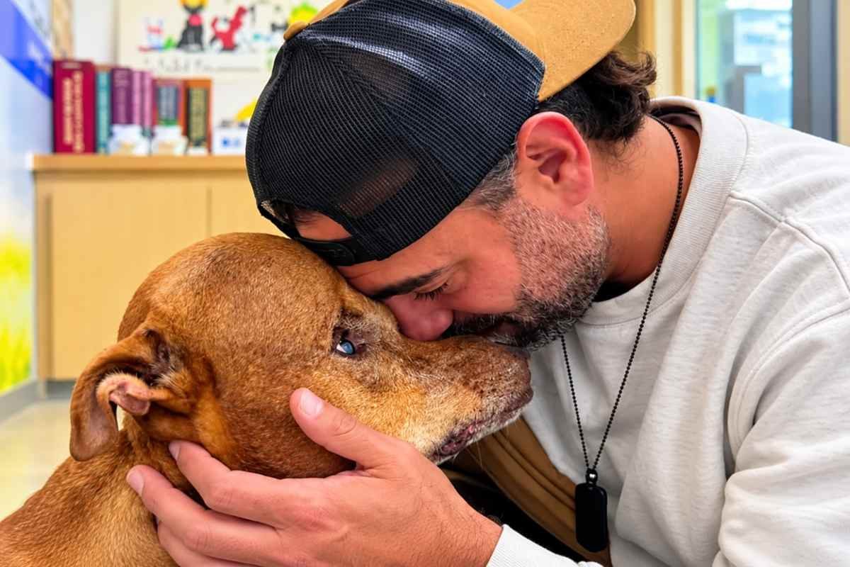 Archie, il cane con un tumore enorme sulla testa, ha trovato finalmente un rifugio dopo anni di abbandono
